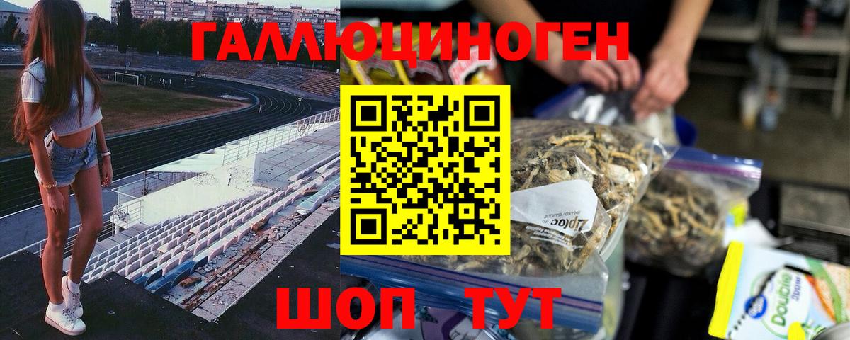 Павловский Посад  Галлюциногенные грибы MAGIC MUSHROOMS  Вход с VPN 